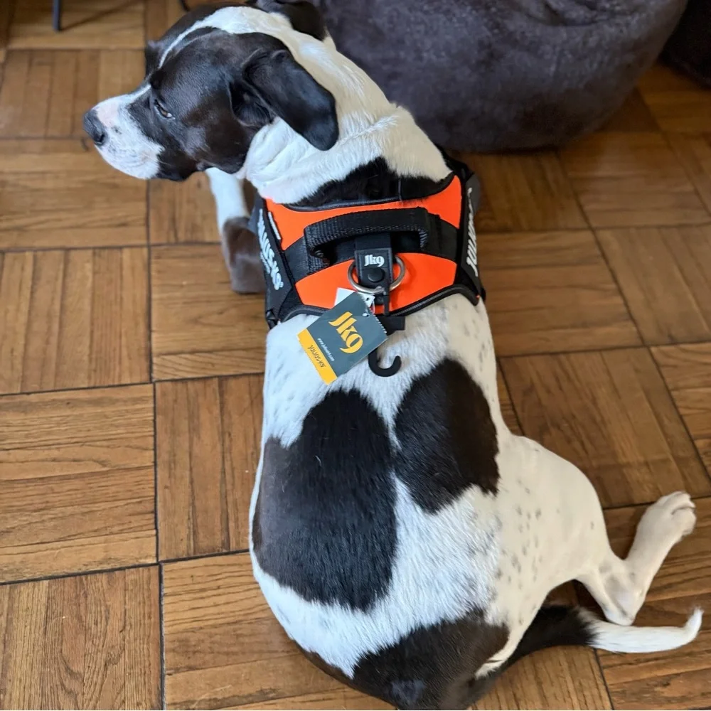 Julius-K9 Orange Dog Harness